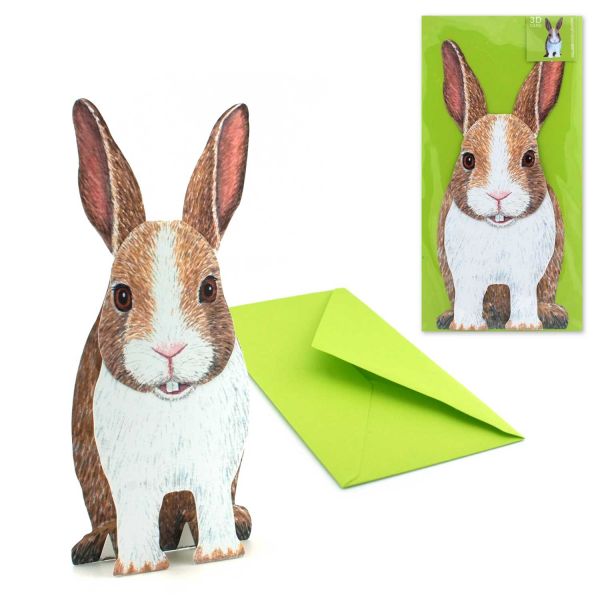 3D-Grusskarte Kleiner Hase