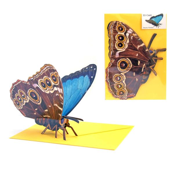 3D-Grusskarte Schmetterling