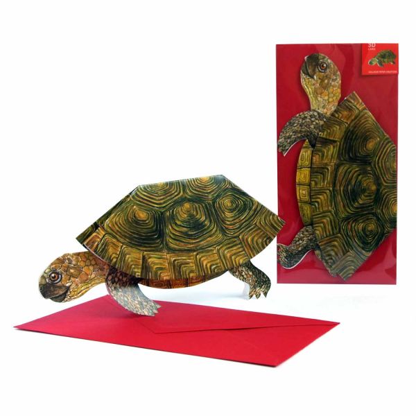 3D-Grußkarte Schildkröte