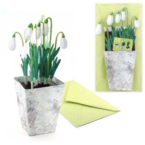 3D Greeting card snowdrops