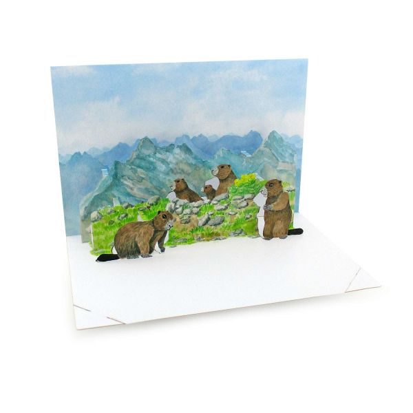 Pop up card with marmots