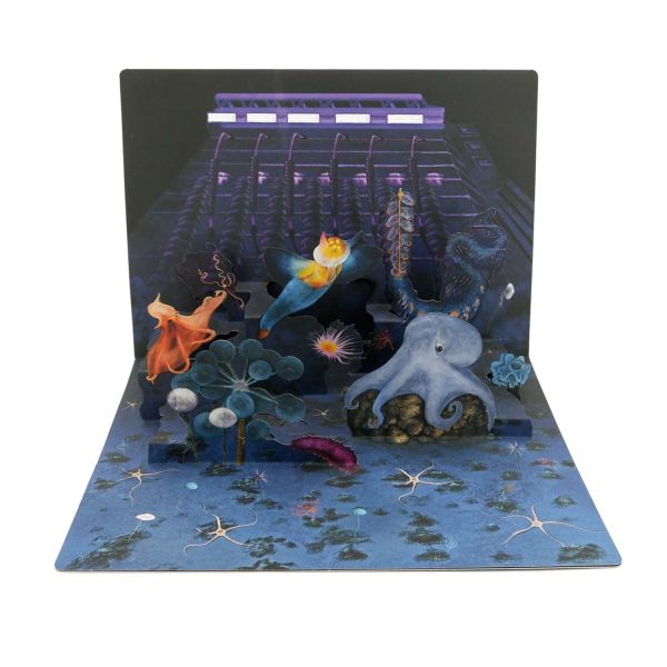 Pop-up-card  Deepsea