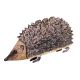 Hedgehog