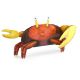 Crab