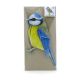 Threedimensional Blue tit as a greeting card