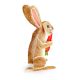 Rabbit with a carrot