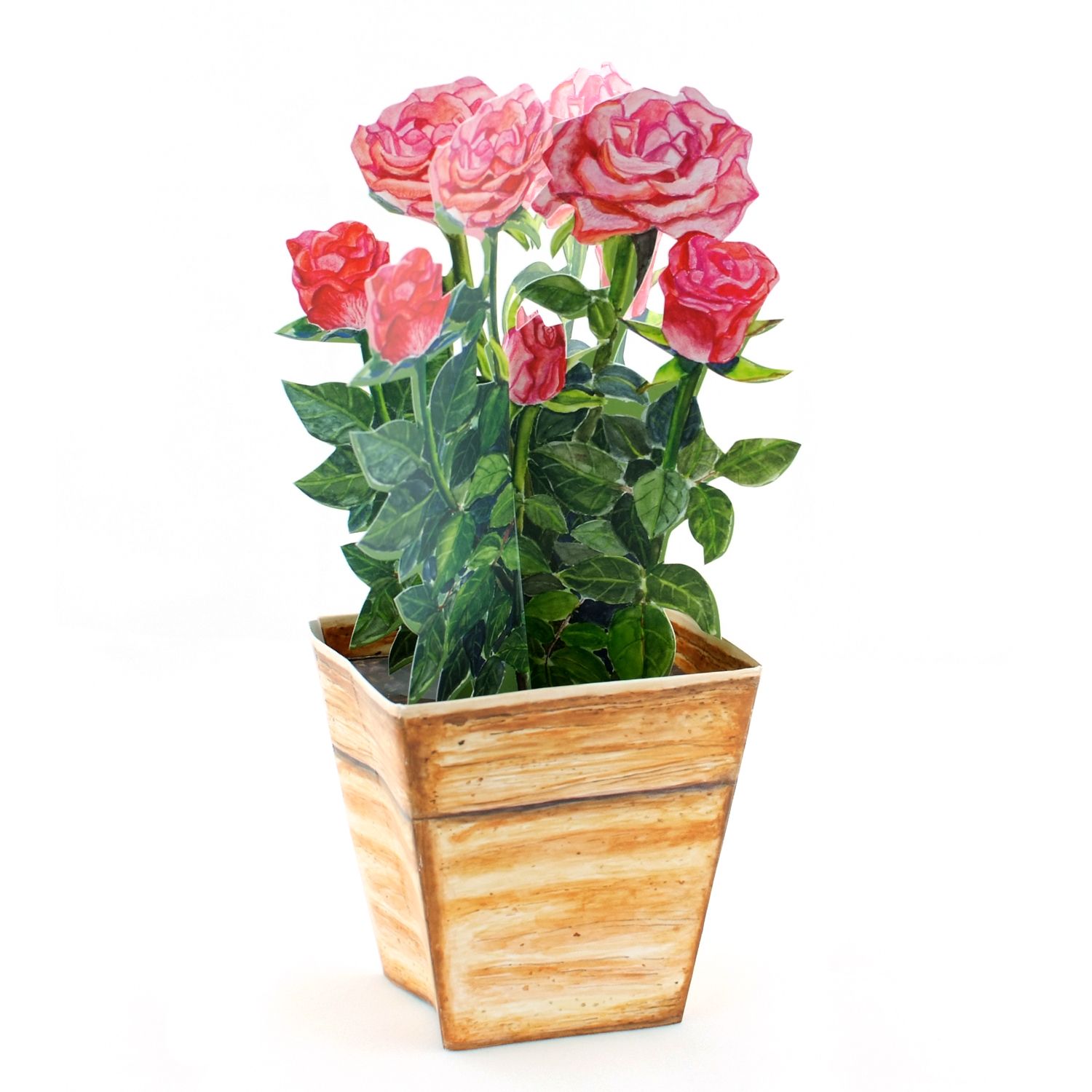 3dRose Grußkarten-Set – 12 Stück, 15,2 X 15,2 Cm, Mit Geigenmotiv & Weißen Umschlägen