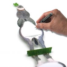 3D-Grusskarte Esel