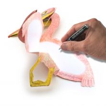 3D-Grusskarte Pelikan
