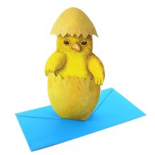 3D-Grusskarte Küken im Ei