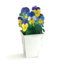 3D Greeting Card Pansy